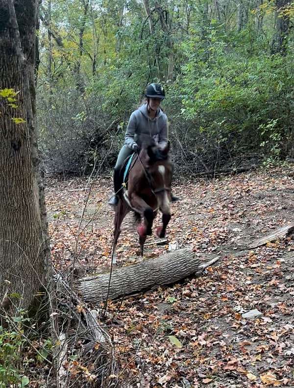 great-kids-thoroughbred-horse