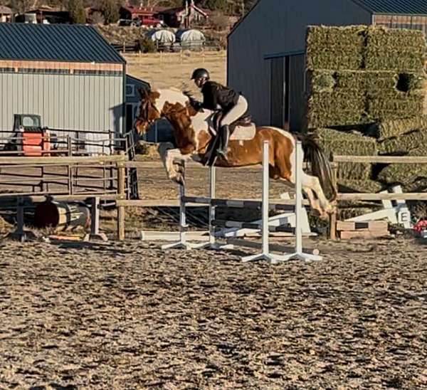 tobiano-horse