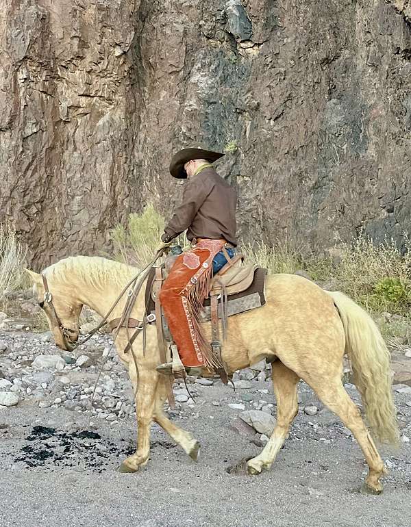 ranch-quarter-horse