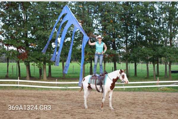 beautiful-mover-curly-horse