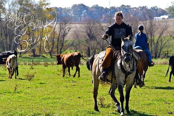 dun-w-blk-points-trail-class-competition-pony