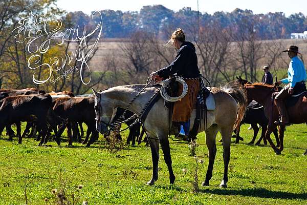 dun-w-blk-points-western-riding-pony