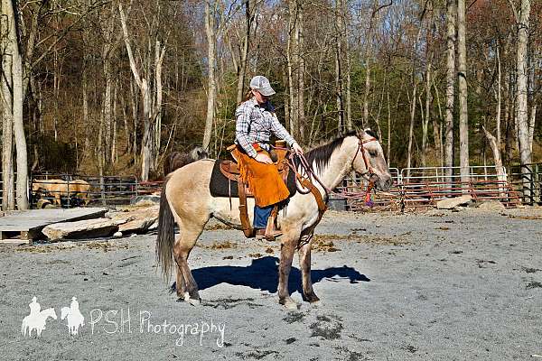 dun-w-blk-points-working-cow-pony