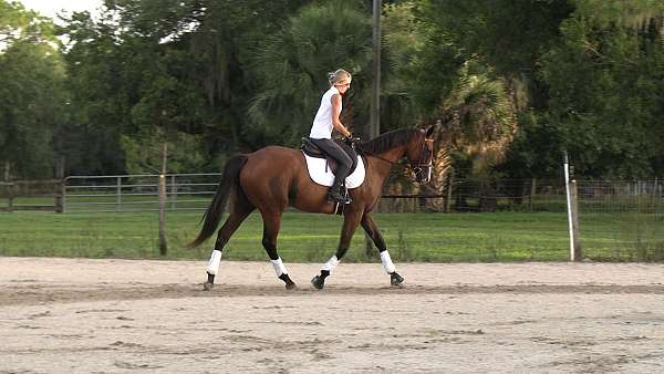 barrel-racing-thoroughbred-horse