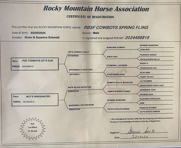 cowboy-rocky-mountain-horse