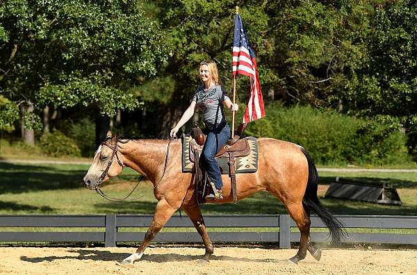 buckskin-quarter-horse