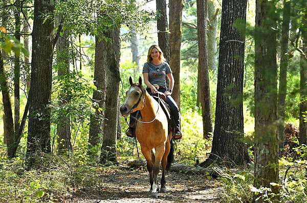 gentle-quarter-horse