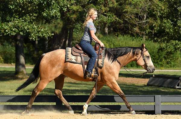 kid-safe-quarter-horse