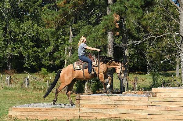 gelding-quarter-horse