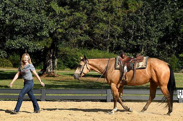 all-around-quarter-horse