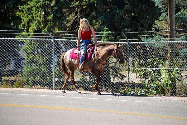 athletic-quarter-pony