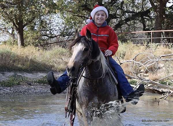 ranch-work-quarter-pony