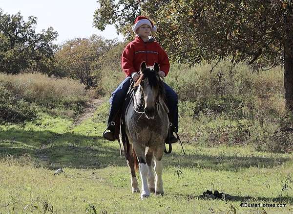 family-pony-quarter