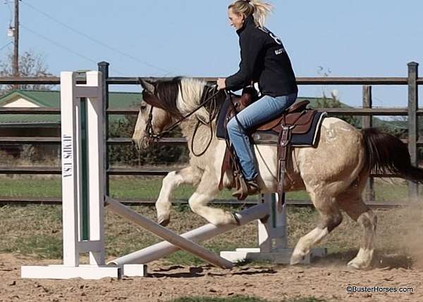 jumping-quarter-pony