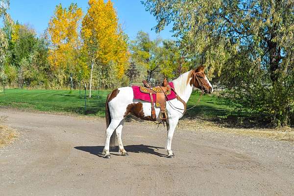 paint-mustang-horse