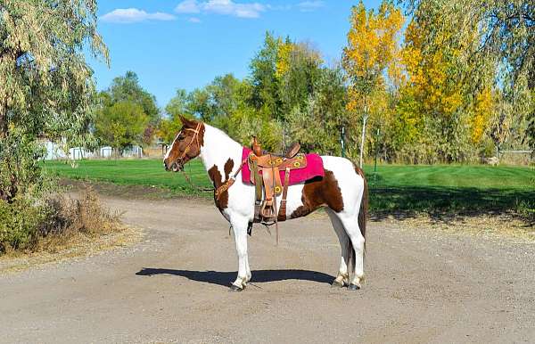 neck-reining-mustang-horse