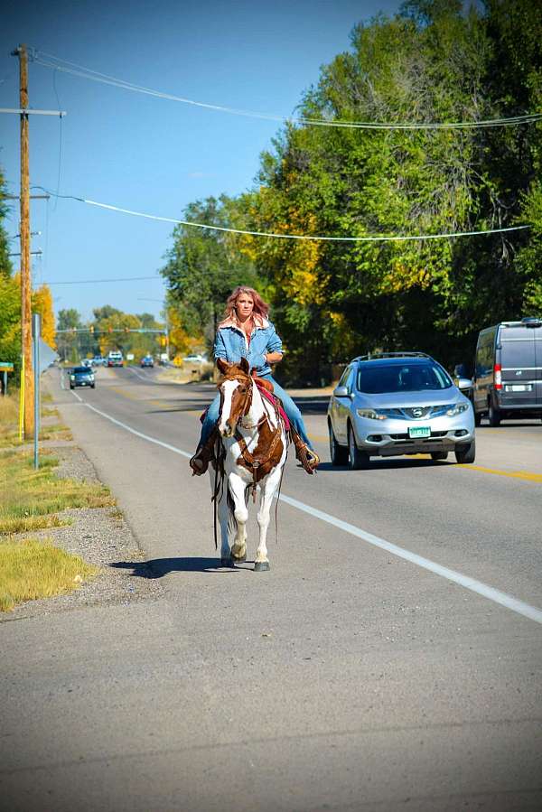 ranch-mustang-horse