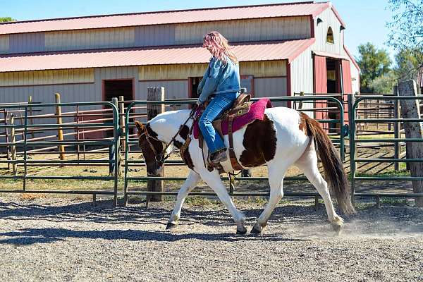 athletic-mustang-horse