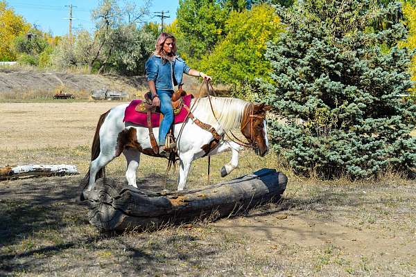 ropes-mustang-horse