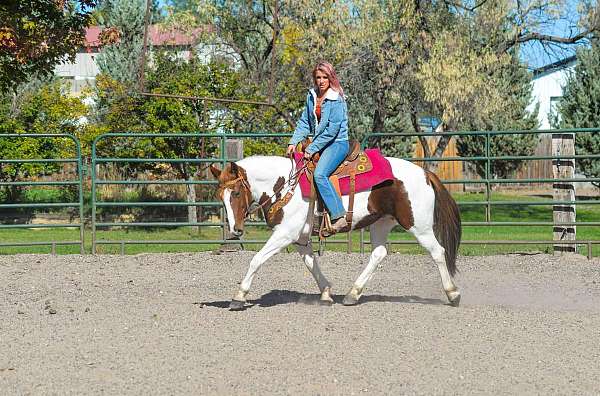 barrel-mustang-horse