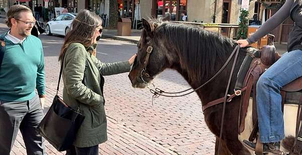 barrel-pattern-horse