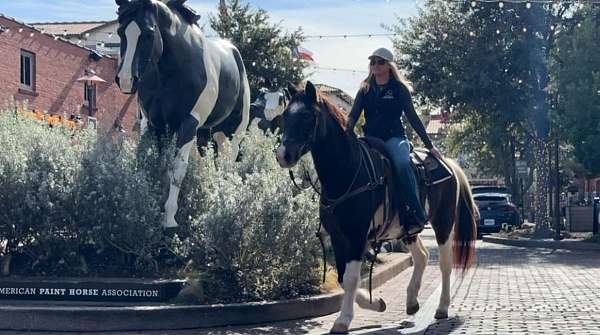 tobiano-blaze-horse