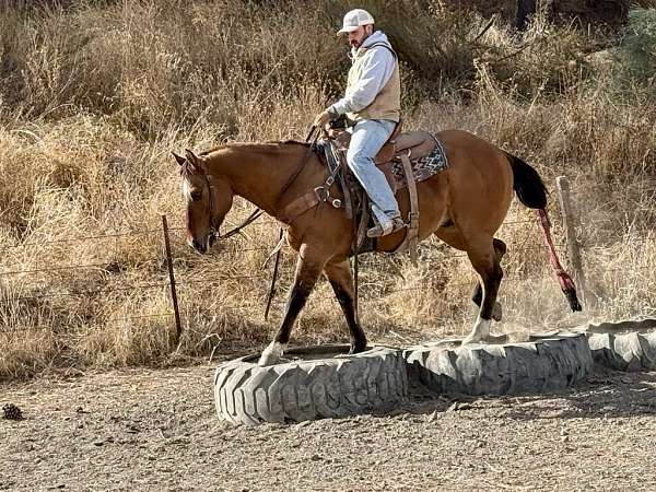 flashy-quarter-horse