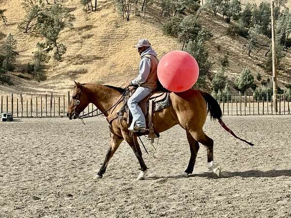 ranch-versatility-quarter-horse