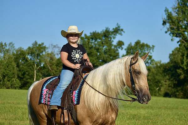 western-horse-missouri-fox-trotter