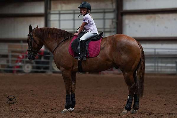 ranch-versatility-quarter-horse