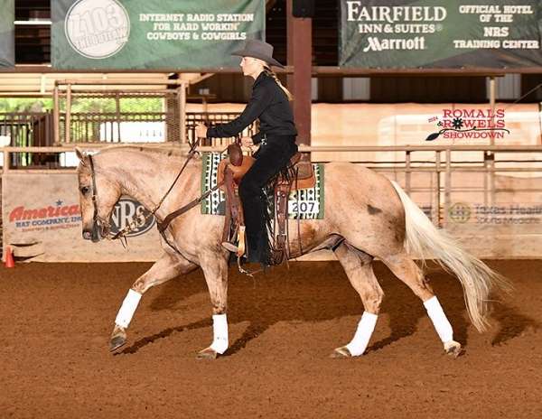 trail-riding-quarter-horse