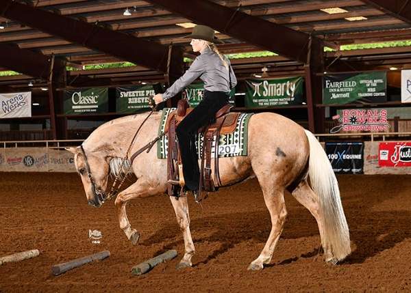 western-riding-quarter-horse