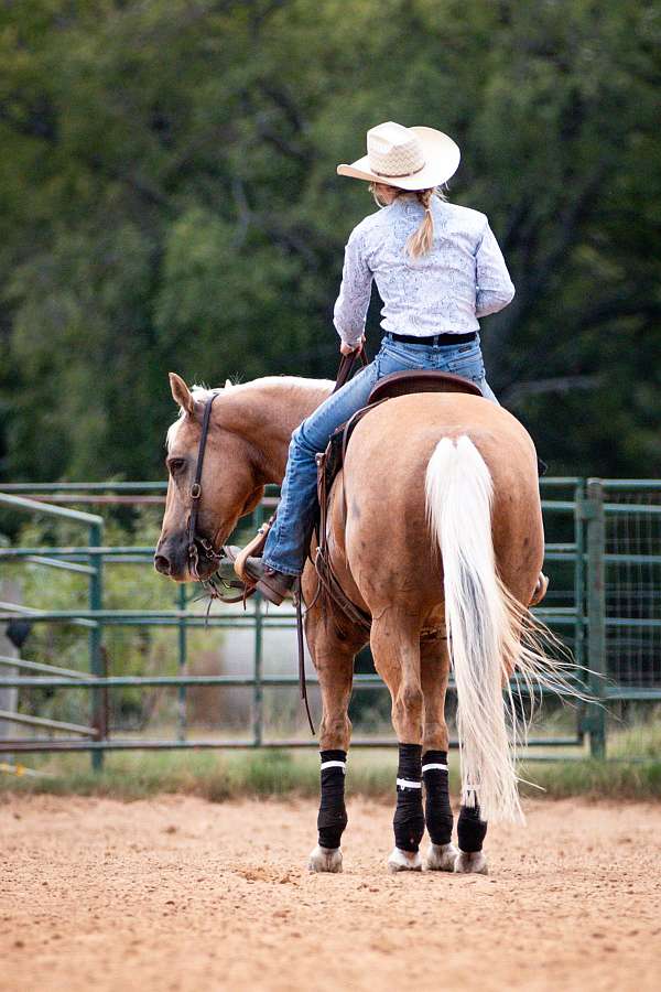 ranch-versatility-quarter-horse