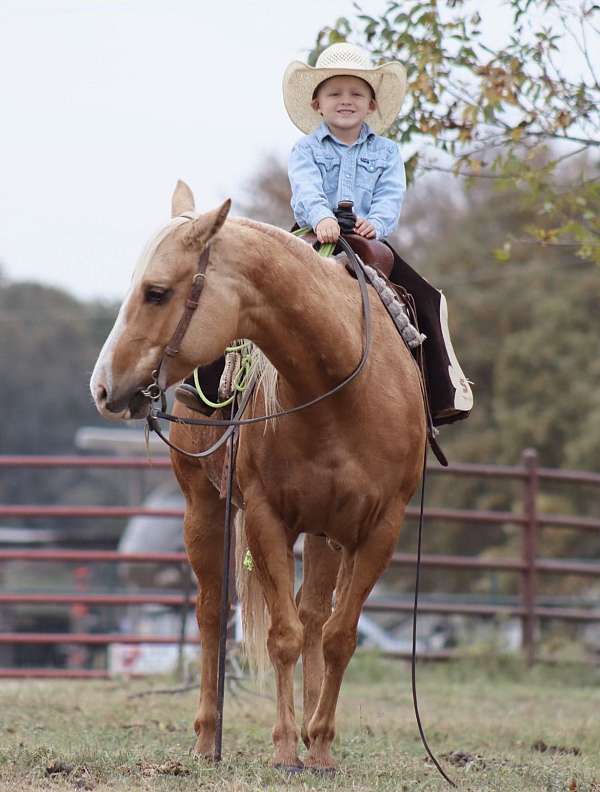 ranch-work-quarter-horse