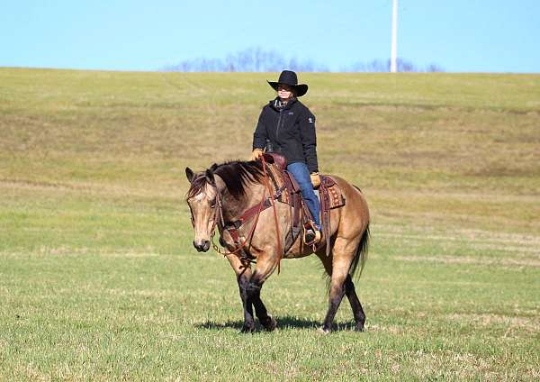 husband-safe-quarter-horse