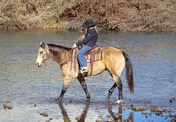 lesson-quarter-horse