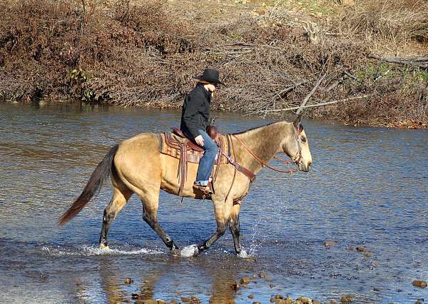 ranch-versatility-quarter-horse