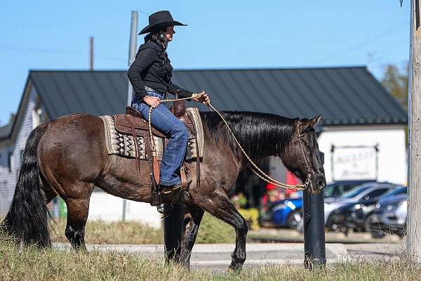 trail-riding-quarter-horse