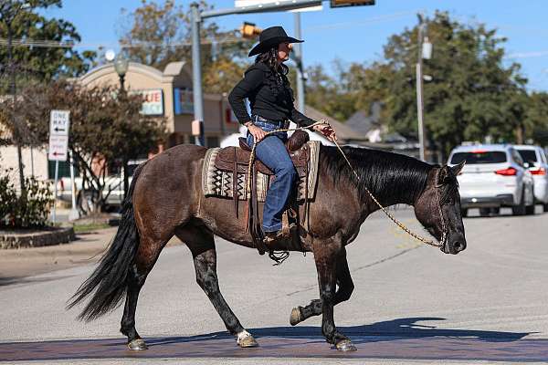 western-riding-quarter-horse