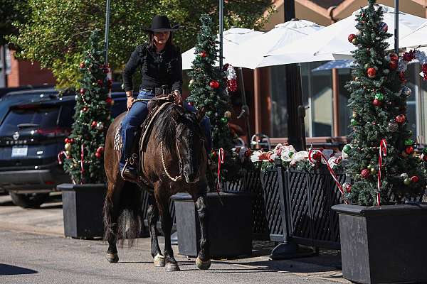 grulla-quarter-horse-mare