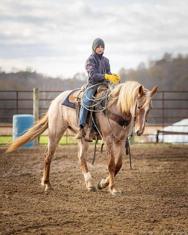 ranch-work-quarter-horse