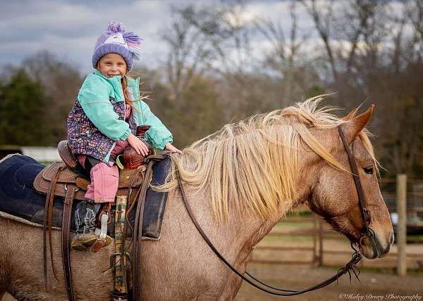 ridden-western-quarter-horse