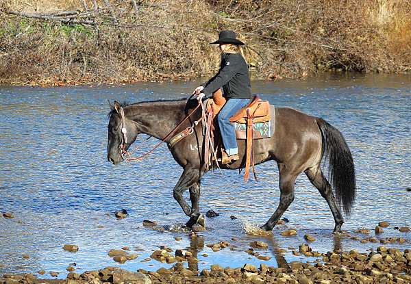 athletic-quarter-horse