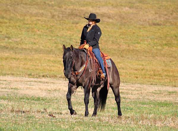 trail-riding-quarter-horse