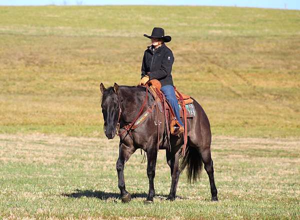 western-riding-quarter-horse