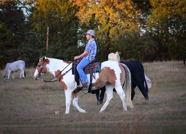 ranch-work-quarter-pony