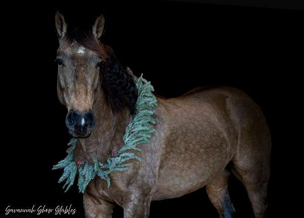 driving-draft-horse