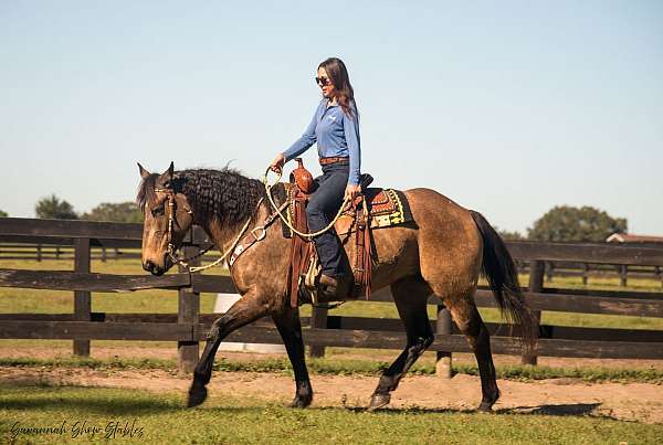 husband-safe-draft-horse