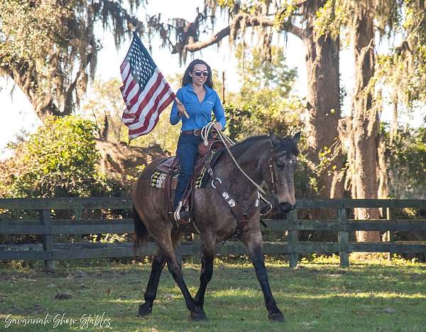 jumping-draft-horse