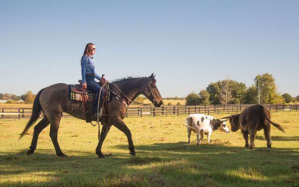 ranch-work-draft-horse